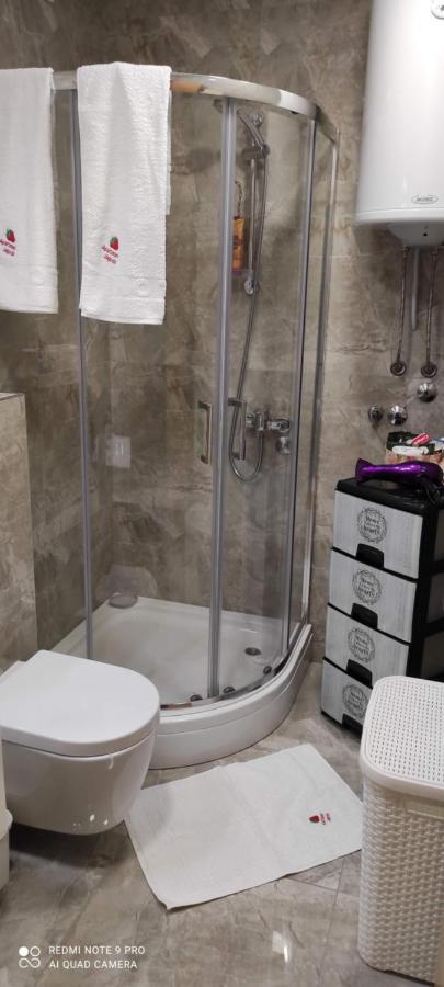Zlatibor Apartman Jagoda Ngoại thất bức ảnh
