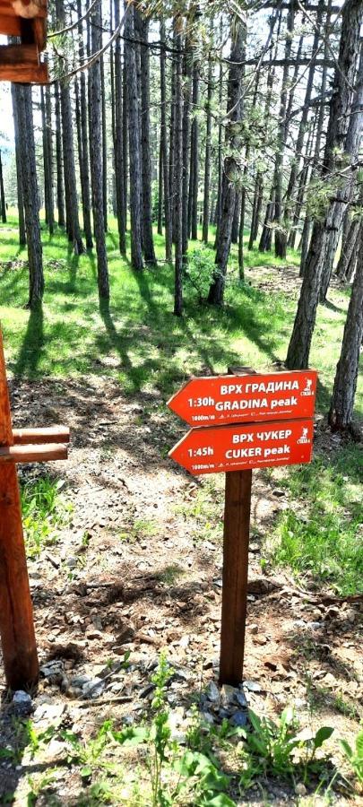 Zlatibor Apartman Jagoda Ngoại thất bức ảnh